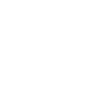 Techtree Systems